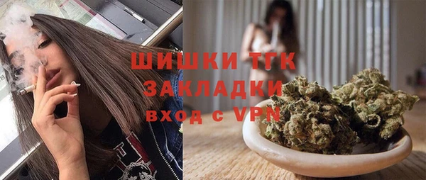 бошки Новодвинск